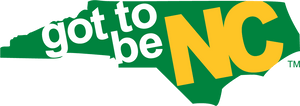 Footer logo 3